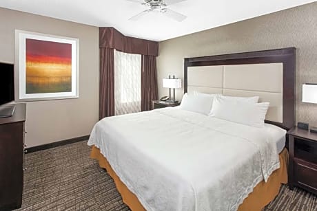 1 King Bed 1 Bedroom Fireplace Suite Nonsmok