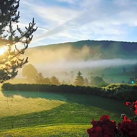 Domaine du Mont-Saint-Jean