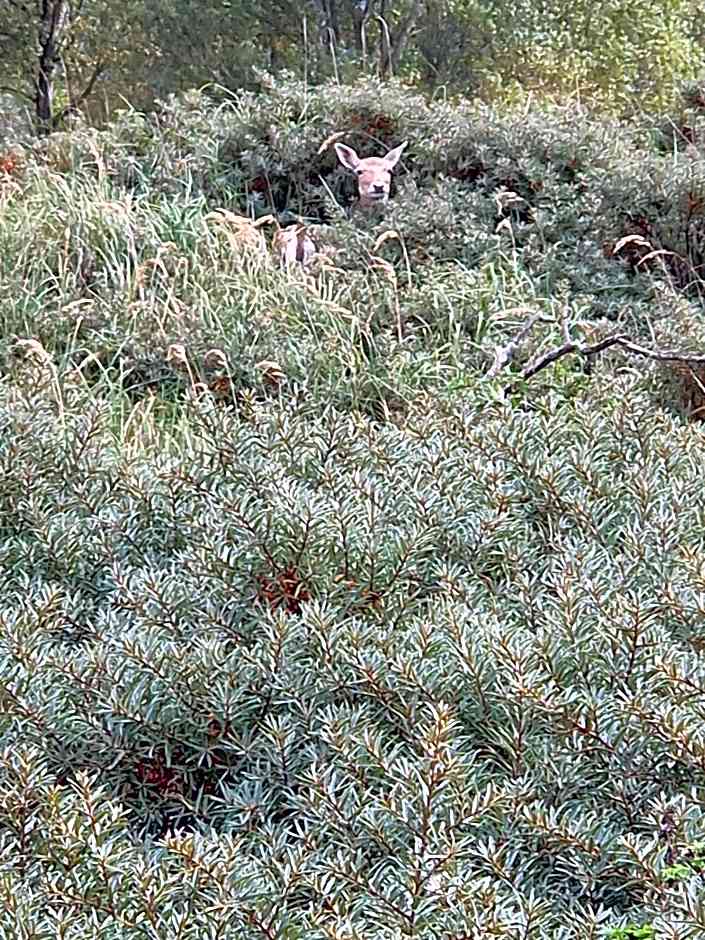 Duin-Vliet - Free parking