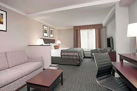 King Room with Roll-In Shower - Mobility Access/Non-Smoking