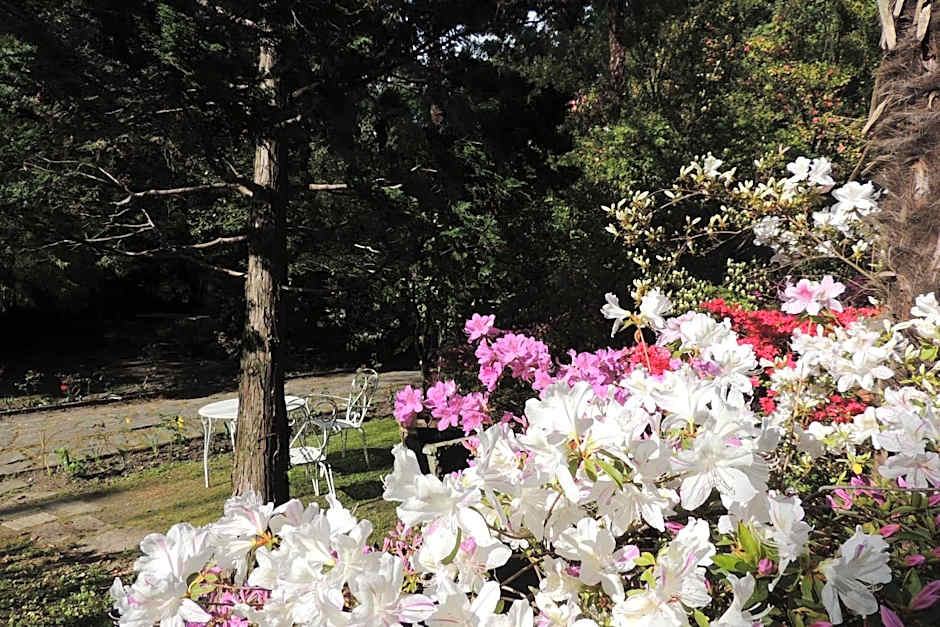 B&B Villa Margherita