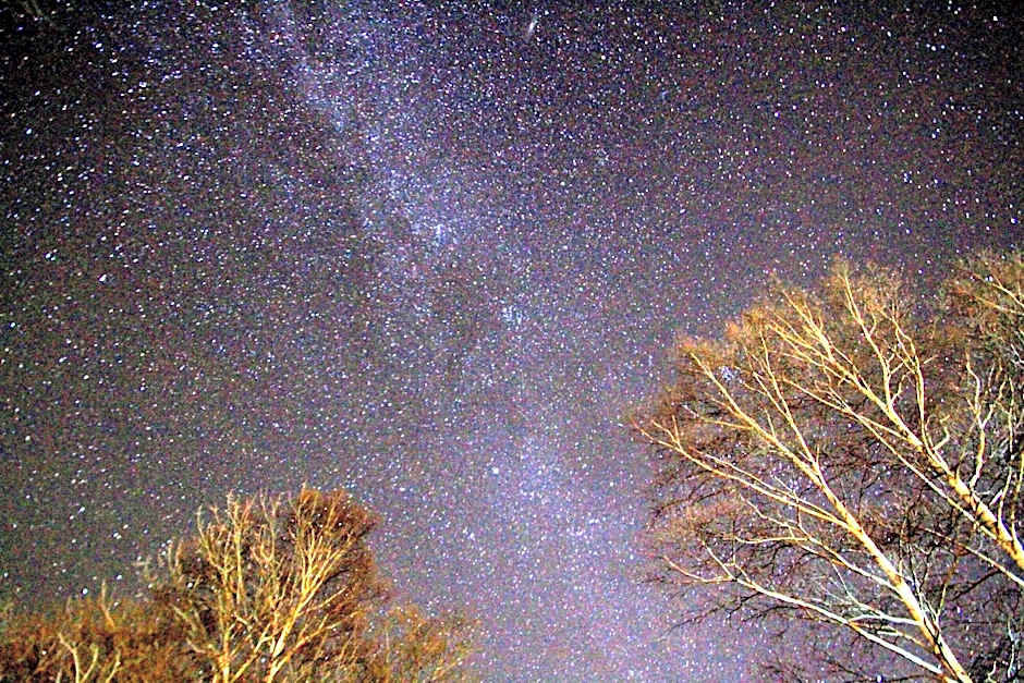 Traveler's Inn Asanebo