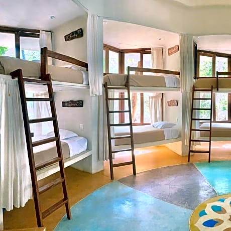 Single Bed in Mixed Dormitory Room