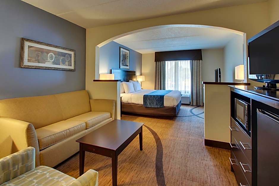 Photo 1 of 4 of Standard Suite