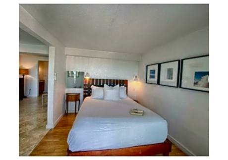 Starfish (Ocean View)