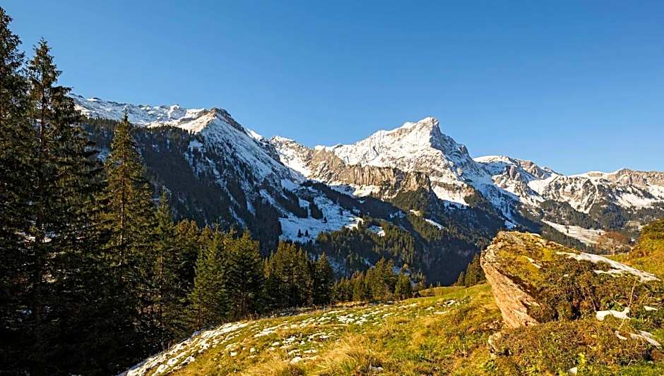 Griesalp Hotels