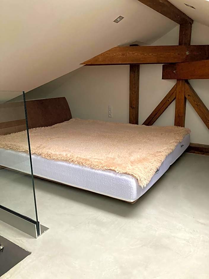 VILLA BRICOLA - Boutique Apartments