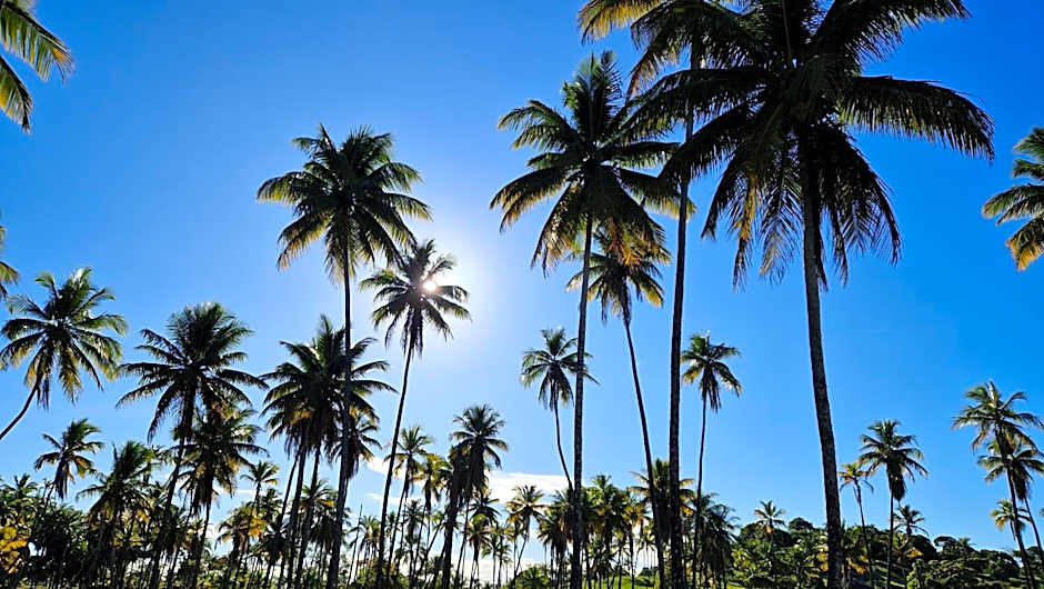 Pousada Casa da Edinha