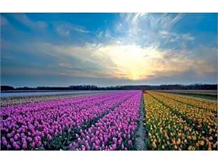 Fletcher Badhotel Egmond aan Zee