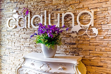 Hotel Calaluna
