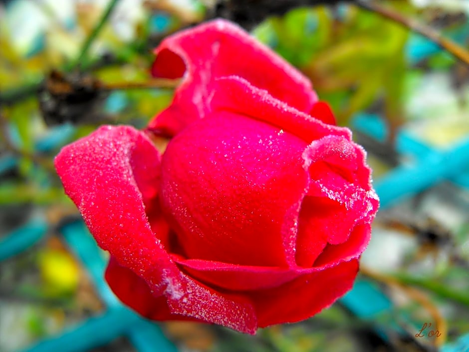 L' écrin de Pradou Glas