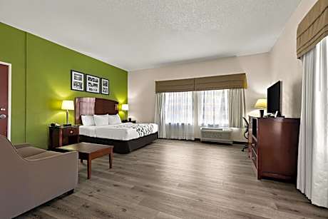 1 King Bed, Suite, Nonsmoking, Accessible