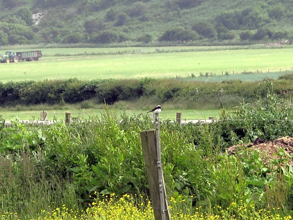 Tollgate Cottages Bed and Breakfast – Freshwater, 
