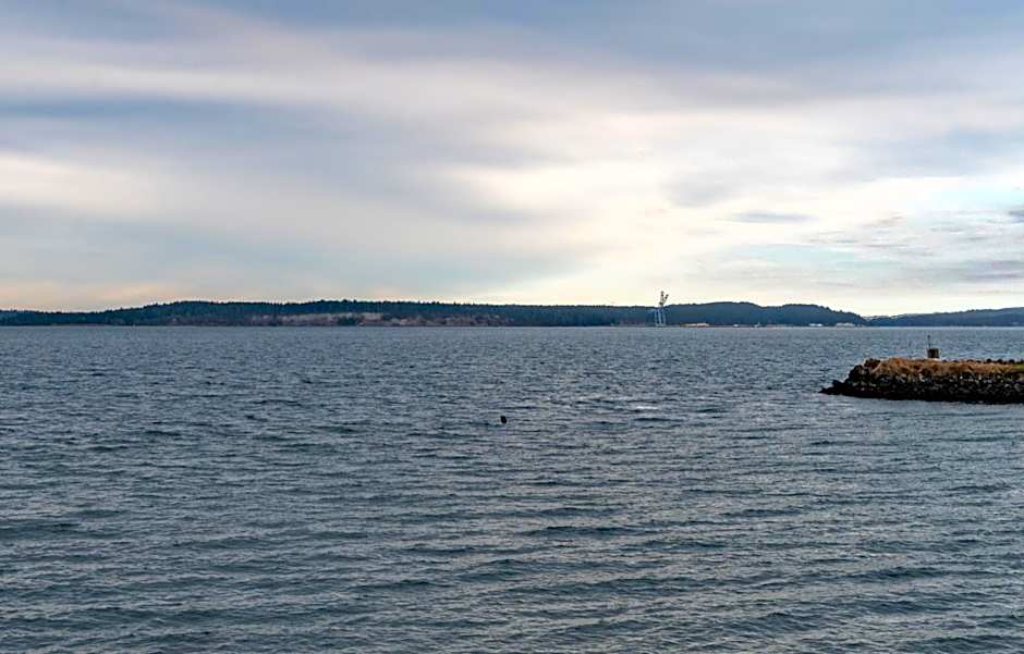 Water Front Inn