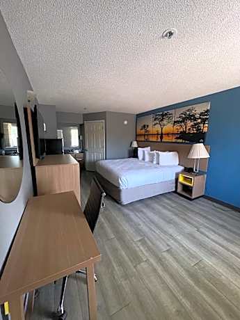 King Room - Non-Smoking