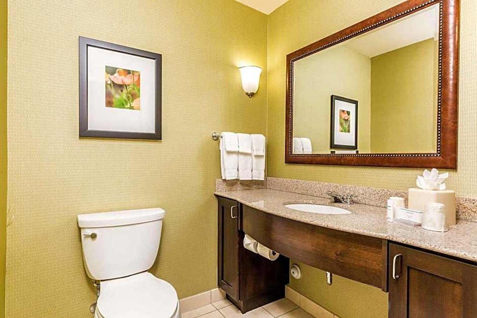 Hilton Garden Inn St. George