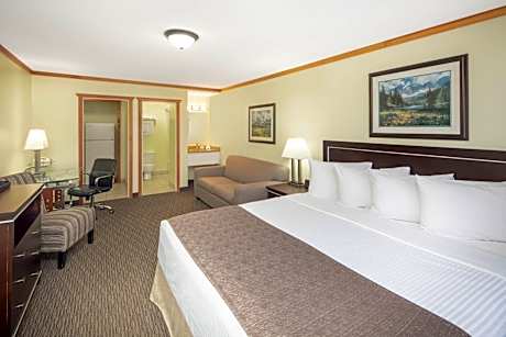 One King Bed & Sofa Bed with Kitchen- Non Smoking - Ground Floor