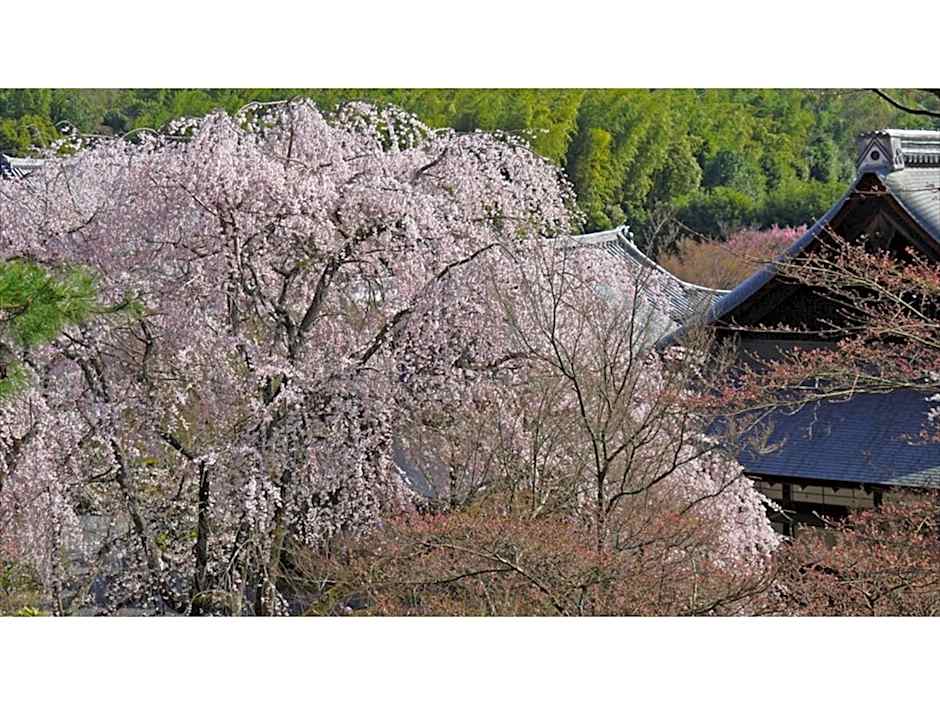 River Side Arashiyama - Vacation STAY 86216v