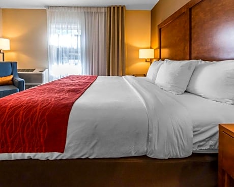 1 King Bed  No Smoking  Accessible Room