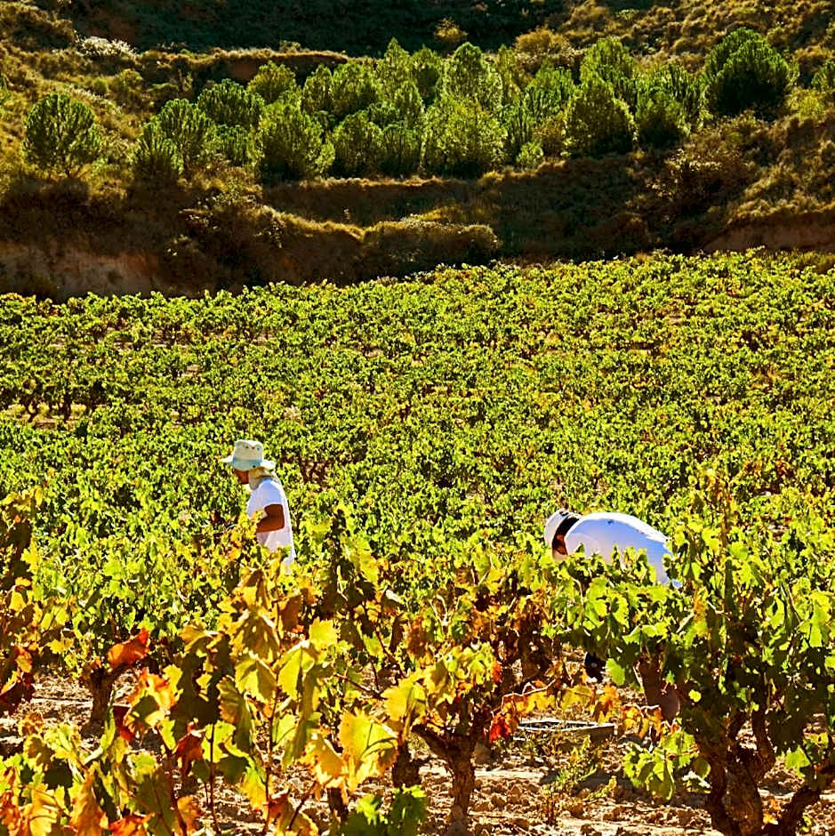 Hotel-Bodega La Casa del Cofrade