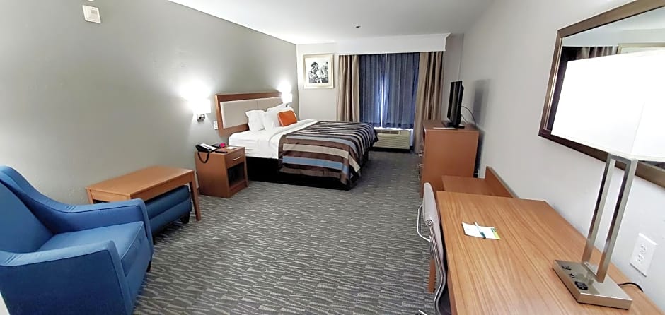 Spark by Hilton Tupelo