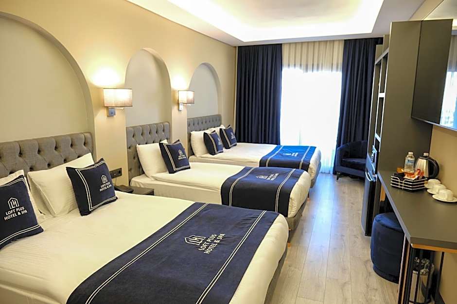 Plus Hotel & Private Transportation İstanbul Airport-By Loft