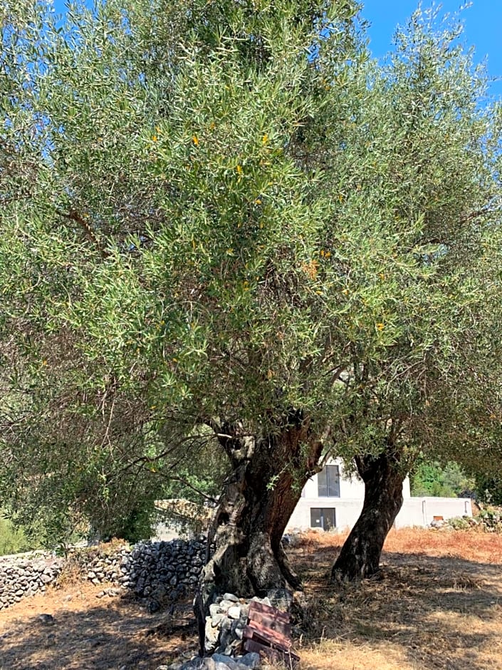 Casa Basgiu, chambres avec balcon
