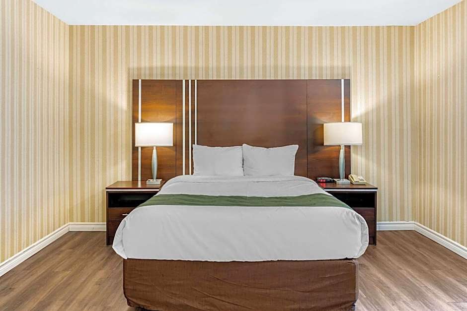 Quality Hotel & Suites