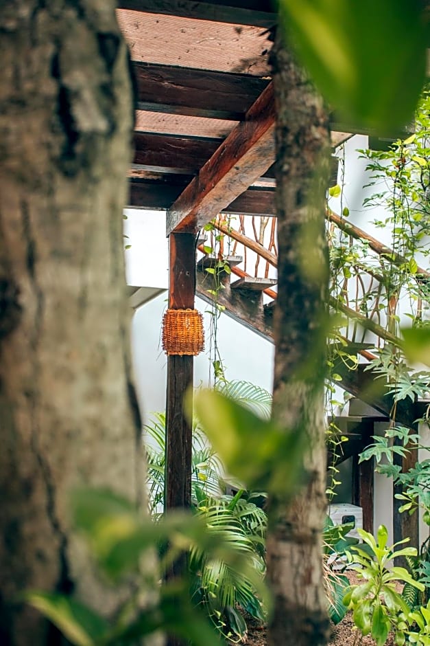 Orchid House Tulum