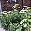 Bed & Breakfast Yerseke