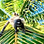 CHALÉ CAPOEIRA DOS MILAGRES