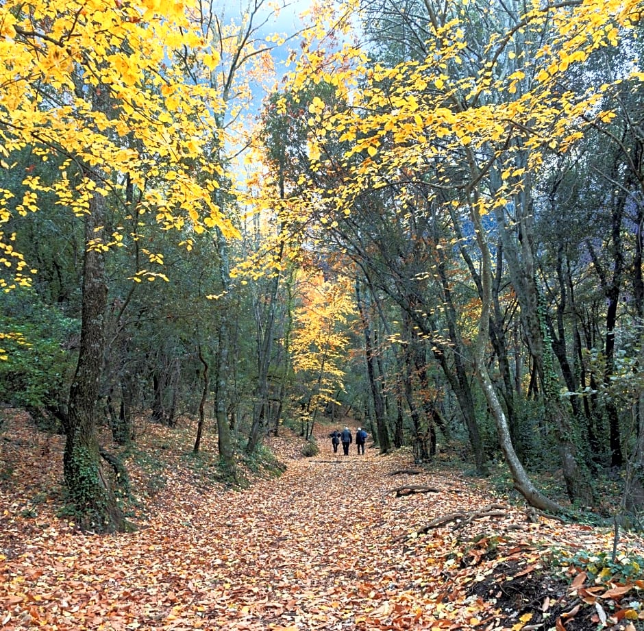 Rincón de piedra BCN