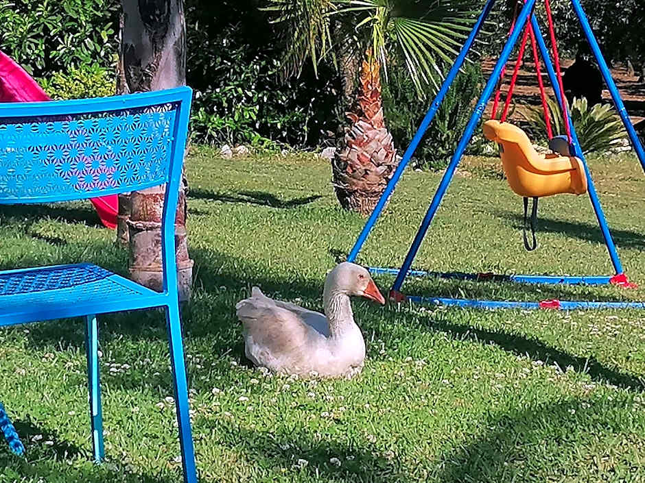 B&B Villa Molinari Restaurant e Baby Park