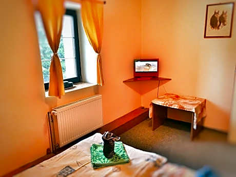 Classic Double or Twin Room