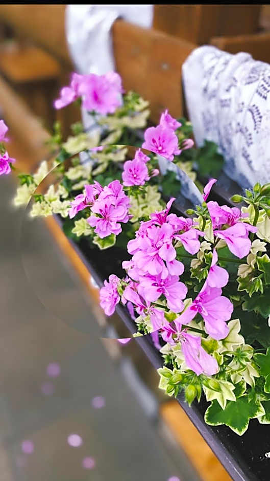 Rooms & Glamping Lana Haus