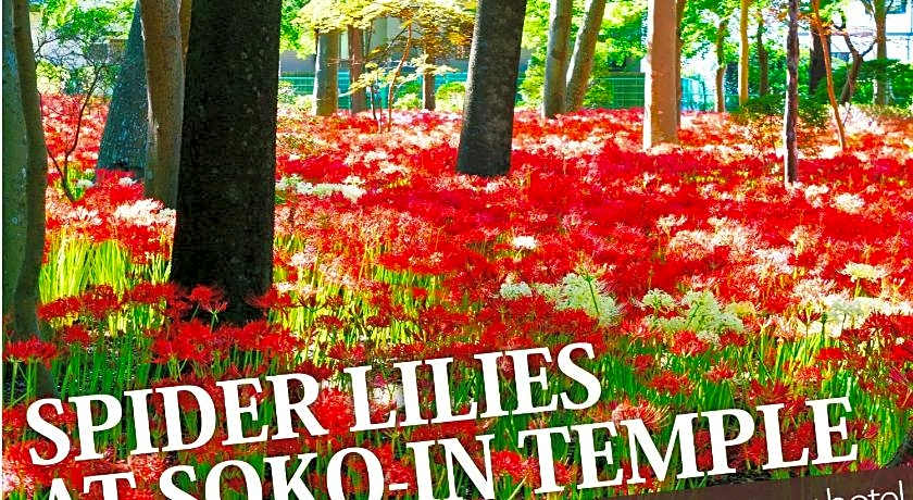 Hotel BaliBali Matsudo