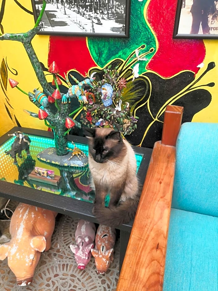 Hostal Oaxaca Magic