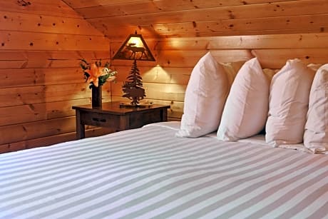 Apartment with Mountain View