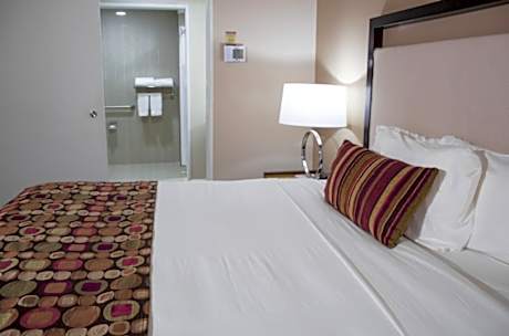 1 King Bed Studio  Non-Smoking