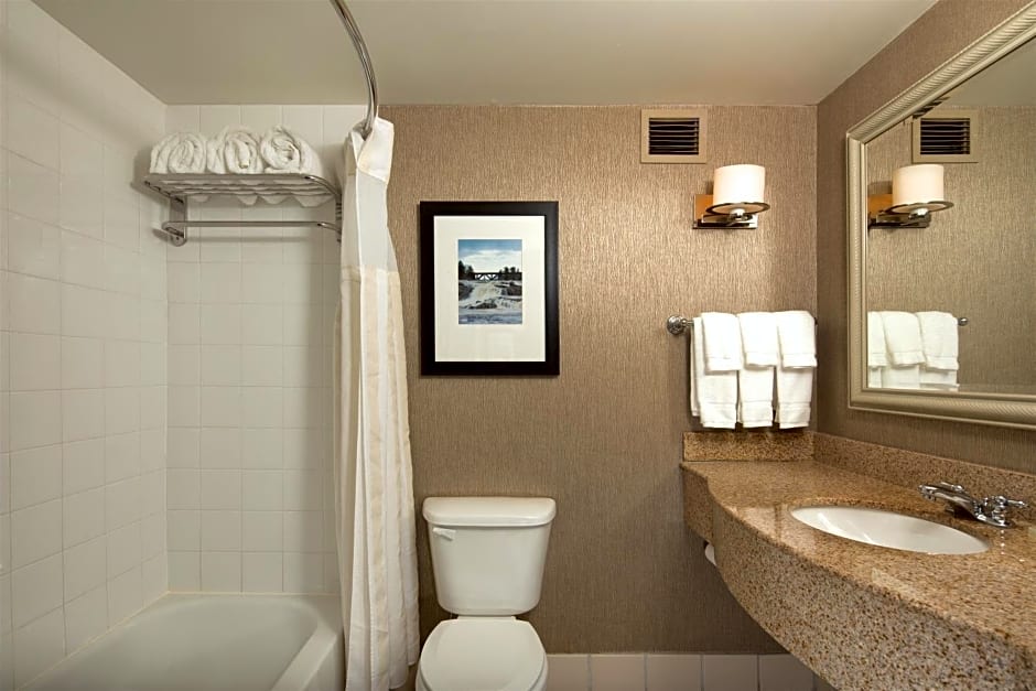 Hilton Garden Inn Auburn Riverwatch