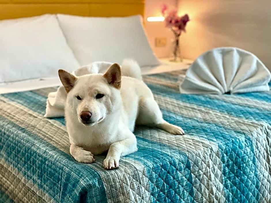 Hotel Crystal con Piscina Estiva Privata - SPIAGGIA INCLUSA con Formula All Inclusive