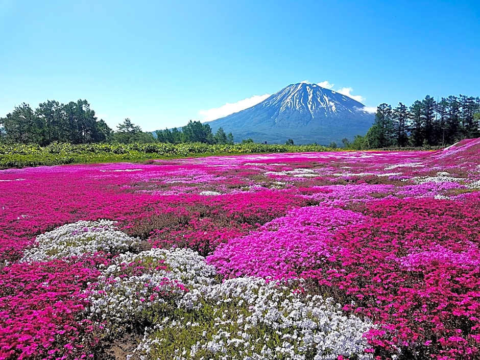 Midtown Niseko