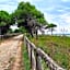 Beachside flat with large balcony - Beahost