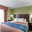 Comfort Inn Franklin Highway 96