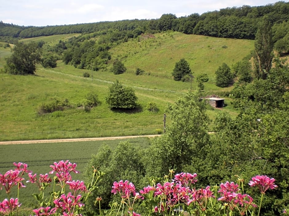 Landhotel Lembergblick