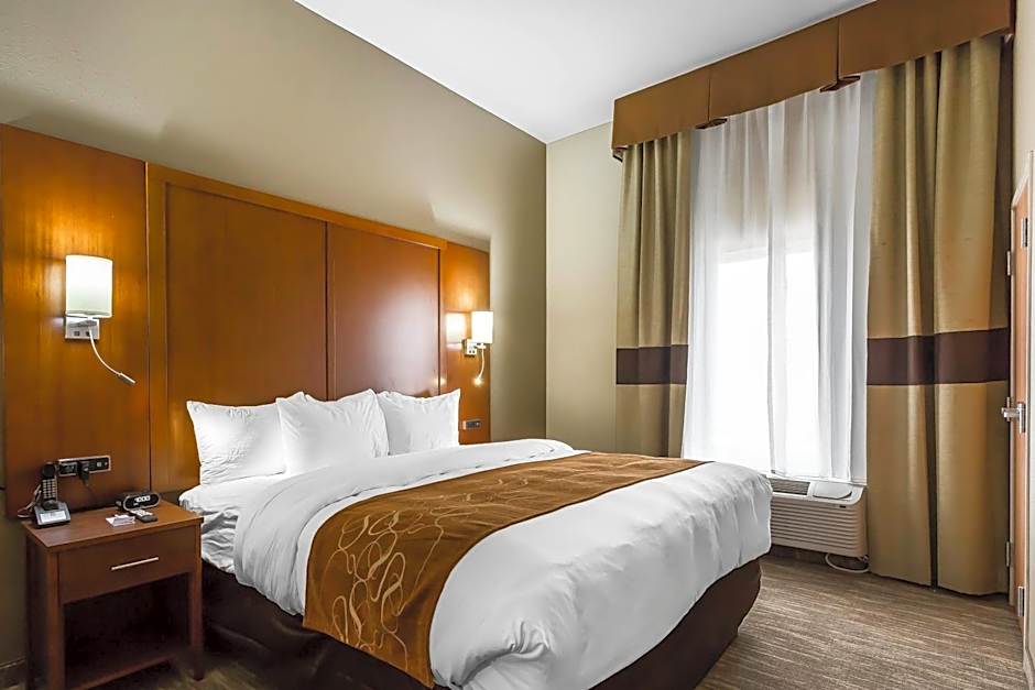 Comfort Suites University