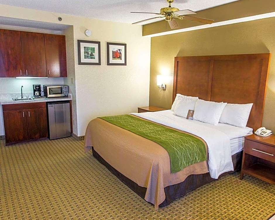 Comfort Inn Hammond