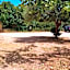 Villa Ambra B&B