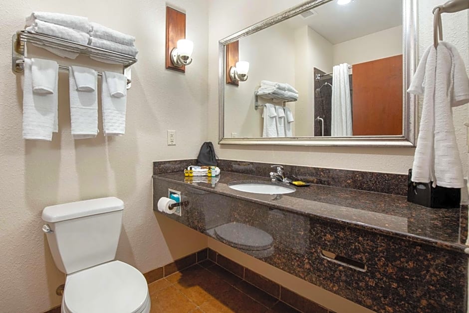 Best Western Plus Greenville South