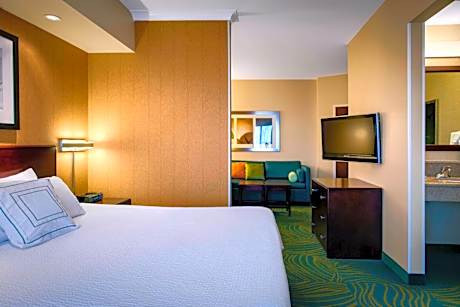 King Studio with Sofa Bed